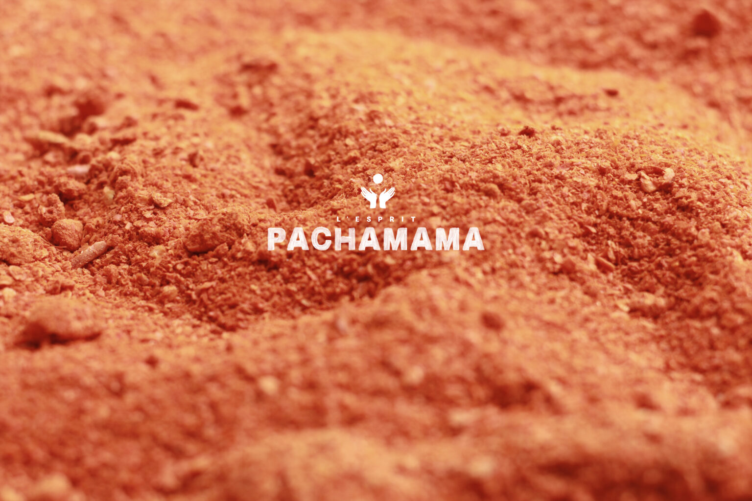 identité visuelle de marque Pachamama sur terre orange par l'équipe de l'agence Pantel