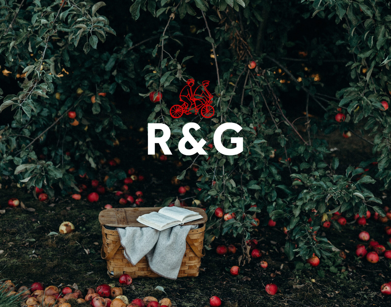 identité visuelle de marque Régis&Gaston sur fond de pommiers par l'équipe de l'agence Pantel